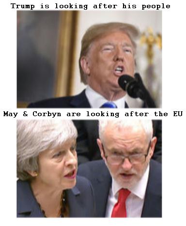 Hughie1953's tweet image. America has a Hero as a Leader. Britain has two Traitors as our Leaders!