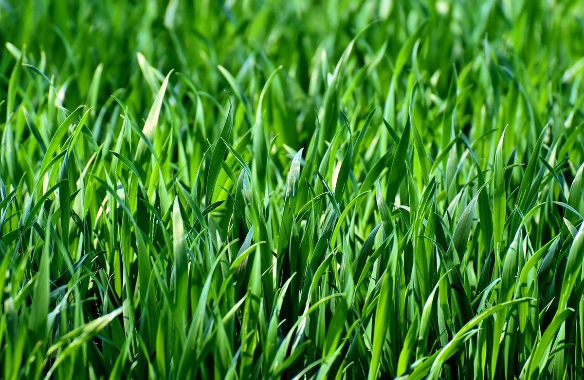 ClubZeker tweet media