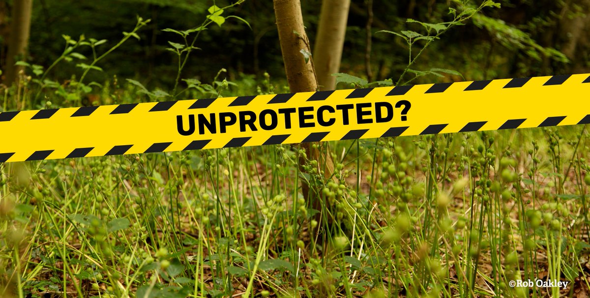 WildlifeTrusts's tweet image. From ancient woodlands to urban wildlife havens, 42,000 Local Wildlife Sites are in danger. Let the government know you value these wild spaces! wtru.st/2r0li4T #UnprotectedSites #ActSwiftly