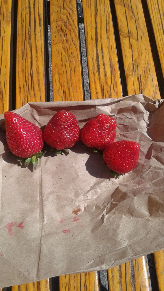 killboy1975's tweet image. Lunch