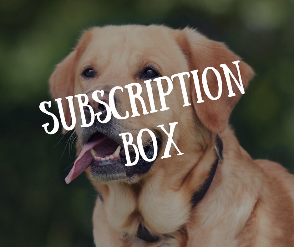 PoochPackageUK's tweet photo. Orders for our May box close on 15th - make sure you get yours at https://t.co/eusy7tTPkZ ๐พ๐
#labraloot #subscriptionbox #labradorsubscriptionbox #dogsofttwitter #dogsubscriptionbox #DogGifts #giftideas #uksmallbizrt #uksmallbiz #uksubscriptionbox #uksubbox #rt https://t.co/4LlW1QmbjX