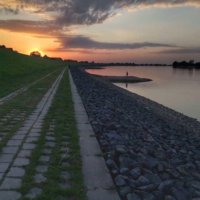 elfilterino's tweet photo. In Hoopte ist gleich Sonnenuntergang. Entweder das - oder der Baum dahinter steht irgendwie weird in Flammen🌳🔥 #hoopte #elbdeich #elbe #winsen #hamburg #niedersachsen #sunset #mate10pro https://t.co/hjPS4XE8SY