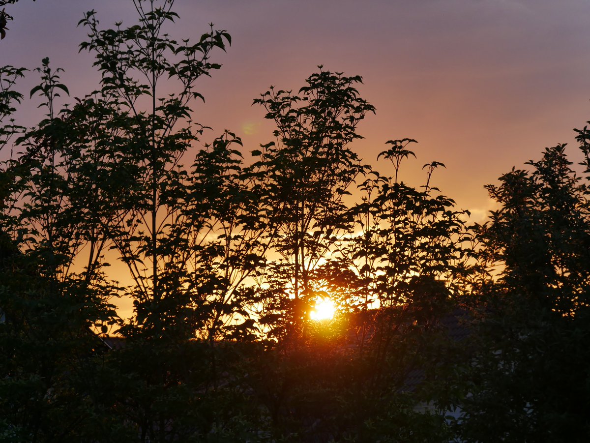 GCornelsen's tweet photo. The end of a beautiful sommer day (29°C) in #spring https://t.co/PPMx7rqQa7