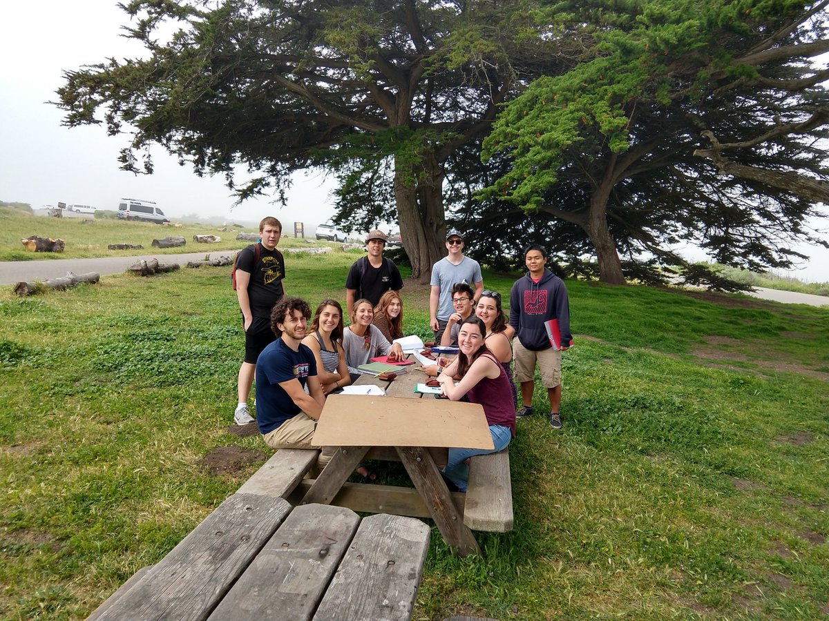 pdf Rethinking Gender in Revolutions and Resistance: Lessons from