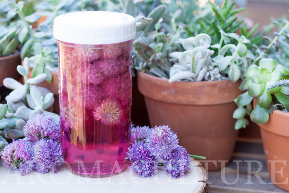 RosaleeForet's tweet photo. How to Use Chive Blossoms In the Kitchen + Make Chive Blossom Vinegar https://t.co/4Fj6EuGeHX via @aromaculture https://t.co/InQvXc8LHJ