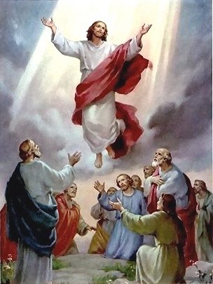 SacredHeartPar1's tweet photo. Ascension of the Lord 
Holy Day of Obligation
Thursday, May 10
8:30 a.m. / 12:05 p.m. / 7:00 p.m. https://t.co/duuWNJrE5Y