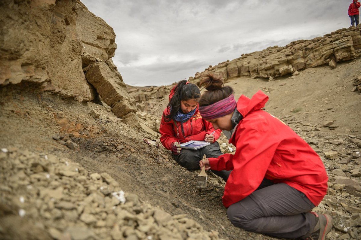Magallanes será sede del primer Congreso Chileno de Paleontología 🦕🦖🌿🇨🇱 inach.cl/inach/?p=23405 <a href="/Minrel_Chile/">Cancillería Chile 🇨🇱</a> <a href="/sebastianpinera/">Sebastian Piñera</a> <a href="/robertoampuero/">Roberto Ampuero</a> <a href="/evegaartigues/">Edgardo Vega A</a> <a href="/mleppe/">𝑫𝒓. 𝑴𝒂𝒓𝒄𝒆𝒍𝒐 𝑳𝒆𝒑𝒑𝒆</a>
