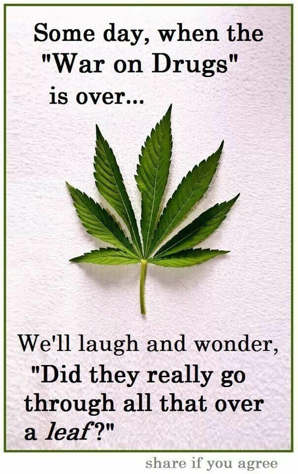 I mean the stigma on cannabis is unreal. The real crime is not allowing people to get their hands on something that will truly make them feel better. #healthywithoutthehigh CBD oil is the answer. 🛑 trying to ban it! Hempforpresident.com you can order 👉🏻your legal👈🏻 CBD