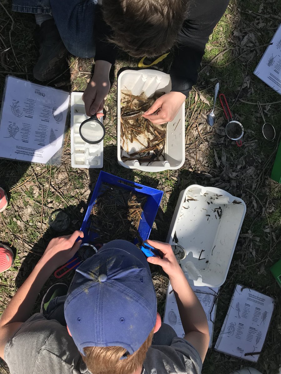 ms_edmonstone's tweet photo. @KawarthaConserv led a wonderful workshop for us today on seine netting, fish i.d. & aquatic insects. i heard βms. e, that was the best day ever! i love fishing!β caught a bluegill, a pumpkinseed & a brown bullhead. #wwdipalsc @IEWeldonSS #TLBSBlearns #programenhancement https://t.co/S1o5slIPm5