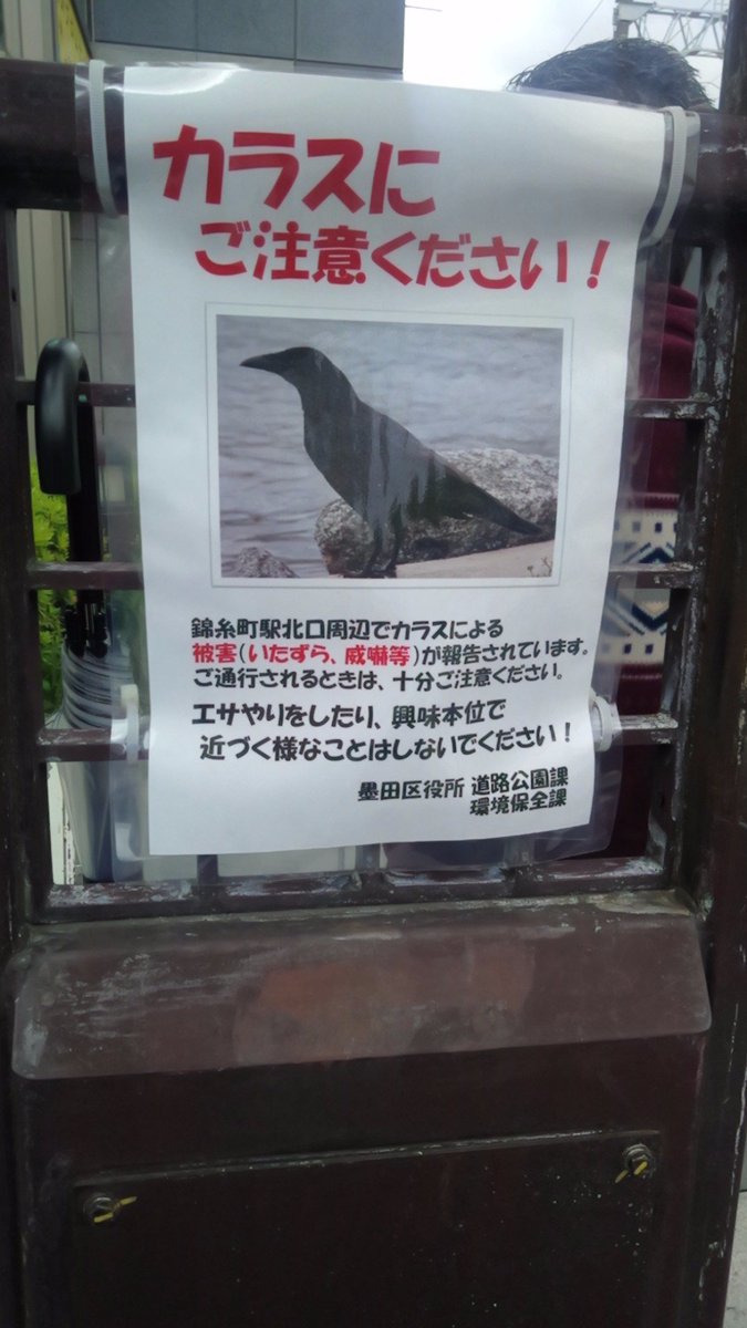 錦糸町駅に現れた 券売機カラス ついに捕獲 中には 鳥獣保護法違反 との声も Togetter