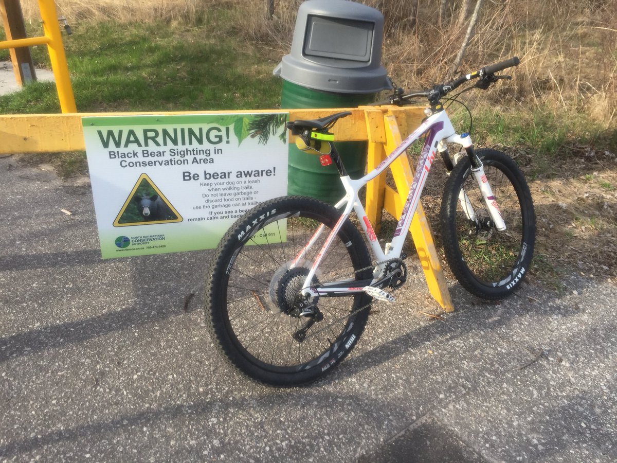 toadyandtadpole's tweet photo. Hey @Livgiant; this is #HowWeLiv in North Bay On. #bearsareawake https://t.co/USrw4PfOU1