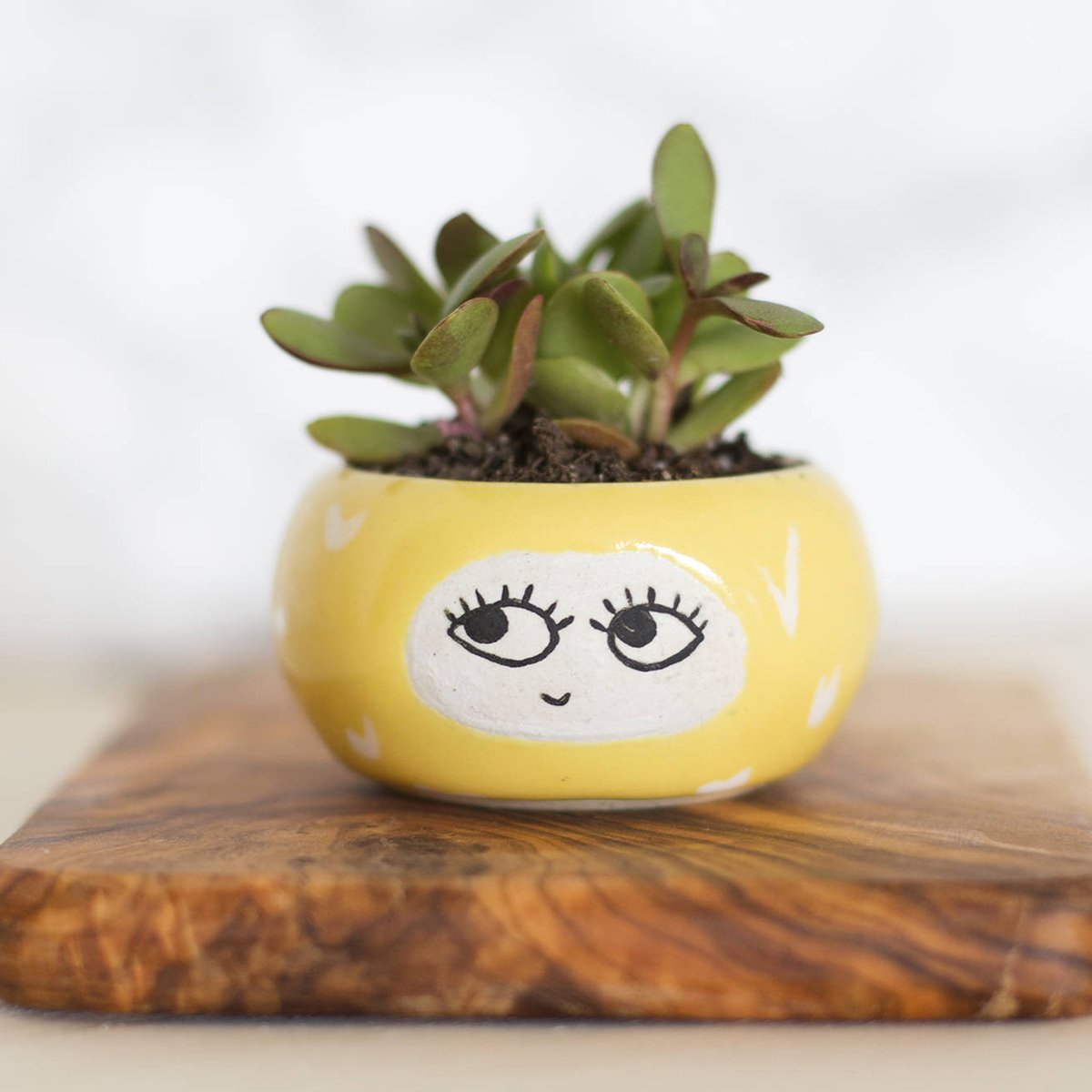 Etsy's tweet photo. What would you name this lil’ cutie? 🌞 https://t.co/qaRRefu23n https://t.co/4PJsU7mRhf