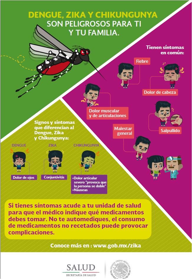 sanchezytepoz's tweet photo. La @SSalud_ mx recomienda la promoción de medidas de #SaneamientoBásico para el control del #MosquitoVector. #Dengue, #Zika y #Chikungunya https://t.co/FaaEU5luxC