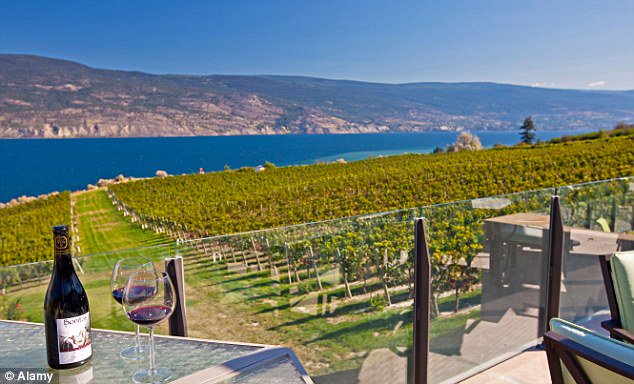 googopogo's tweet image. Come to the #Okanagan Valley in #BC #Canada in #summer18 #wine #tourism #beautiful #hellobc #explore #adventure #perfection #amazing #visit #travel #holiday #vacation #lake #beach #sun #vineyard #bike #boat