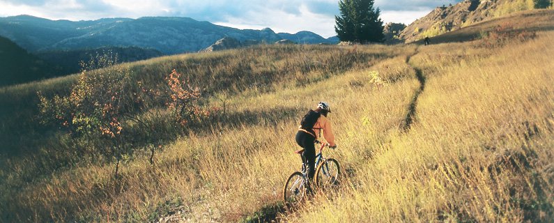 googopogo's tweet image. Come to the #Okanagan Valley in #BC #Canada in #summer18 #wine #tourism #beautiful #hellobc #explore #adventure #perfection #amazing #visit #travel #holiday #vacation #lake #beach #sun #vineyard #bike #boat