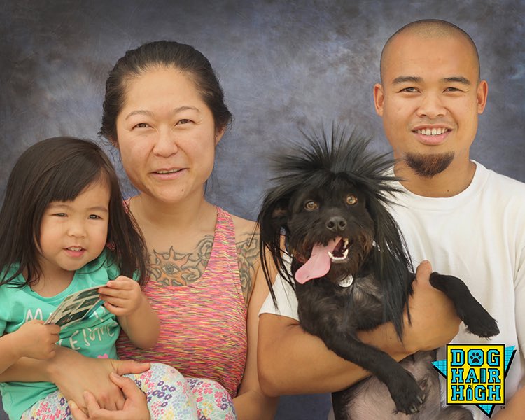 Dog Hair High 🐶 tweet media