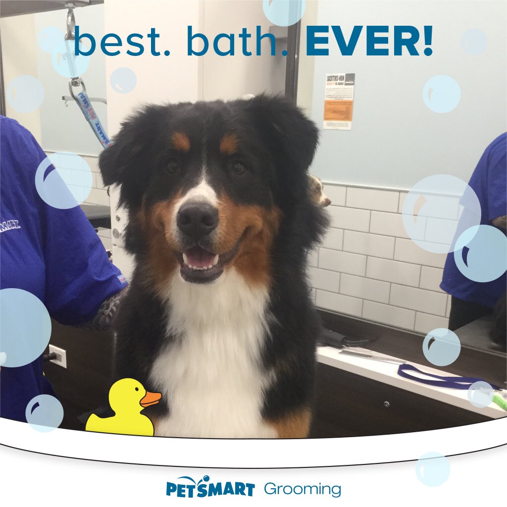 PetSmart Miramichi tweet media