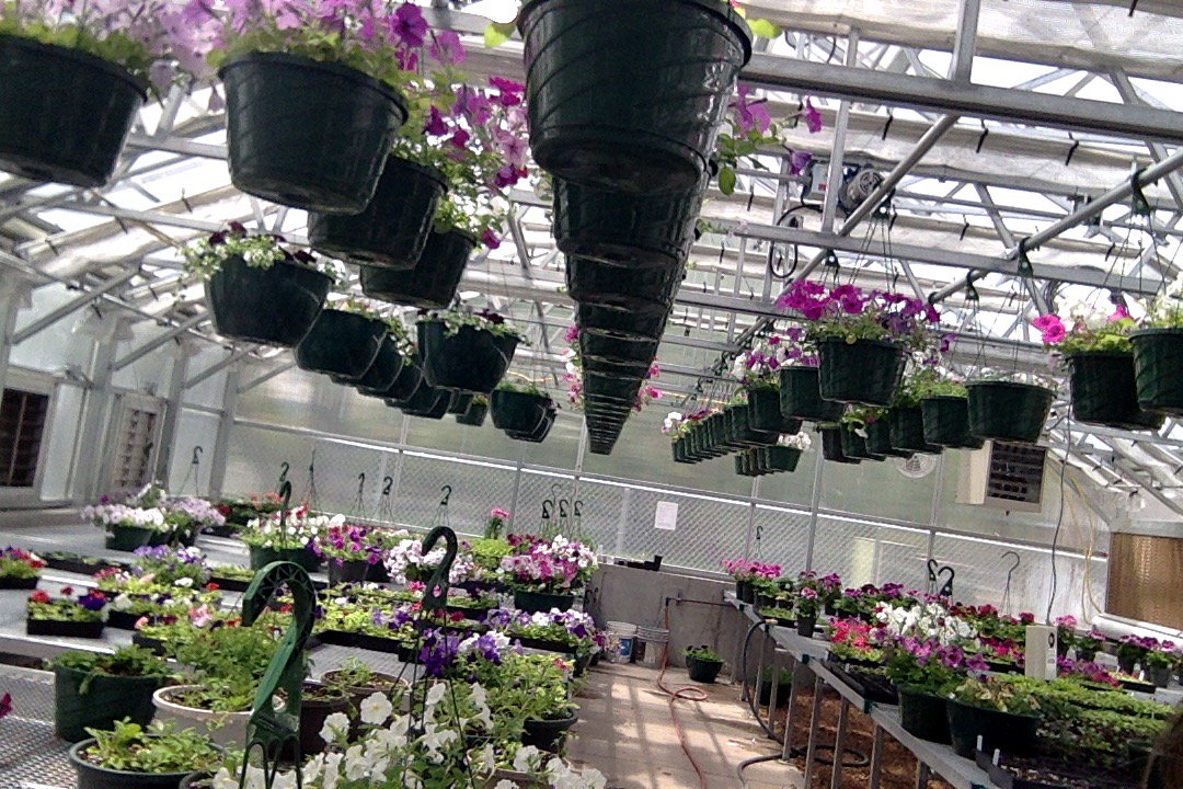 South Summit CTE tweet media