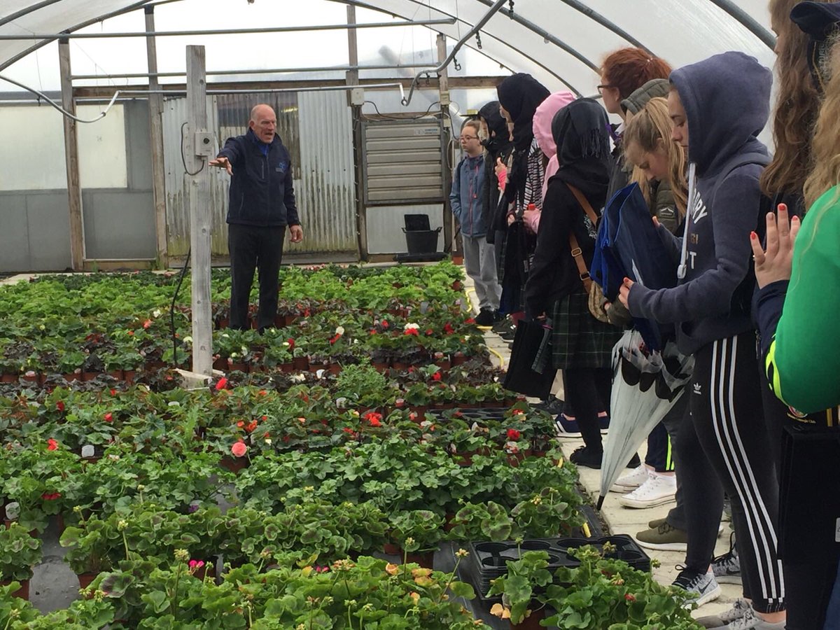 Colaiste Bride On Twitter Our 5th Year Lcvp Students Were Served