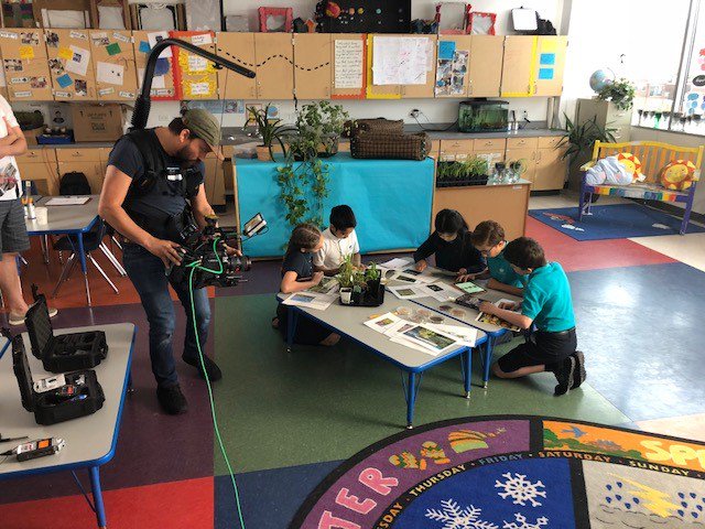 BISC Lincoln Park tweet media