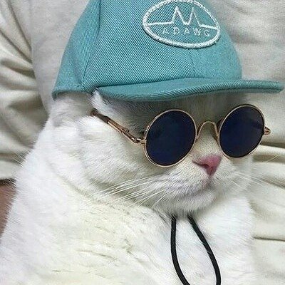 Awakening Time tweet media