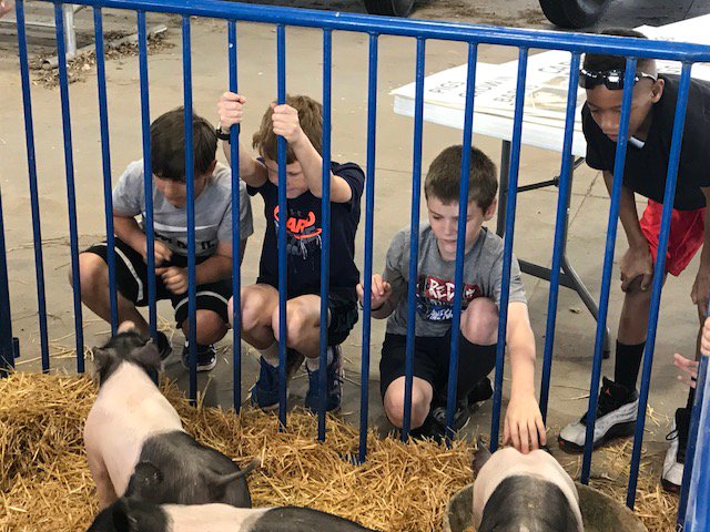 Lynn Spady tweet media