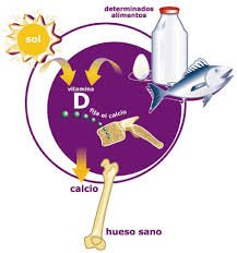 Both #exercise and #vitaminD supplementation independently improved #physicalfunction and increased #musclemass in community-dwelling #elderly individuals. #vitaminaD #saludelamujer #prevención. sciencedirect.com/science/articl…