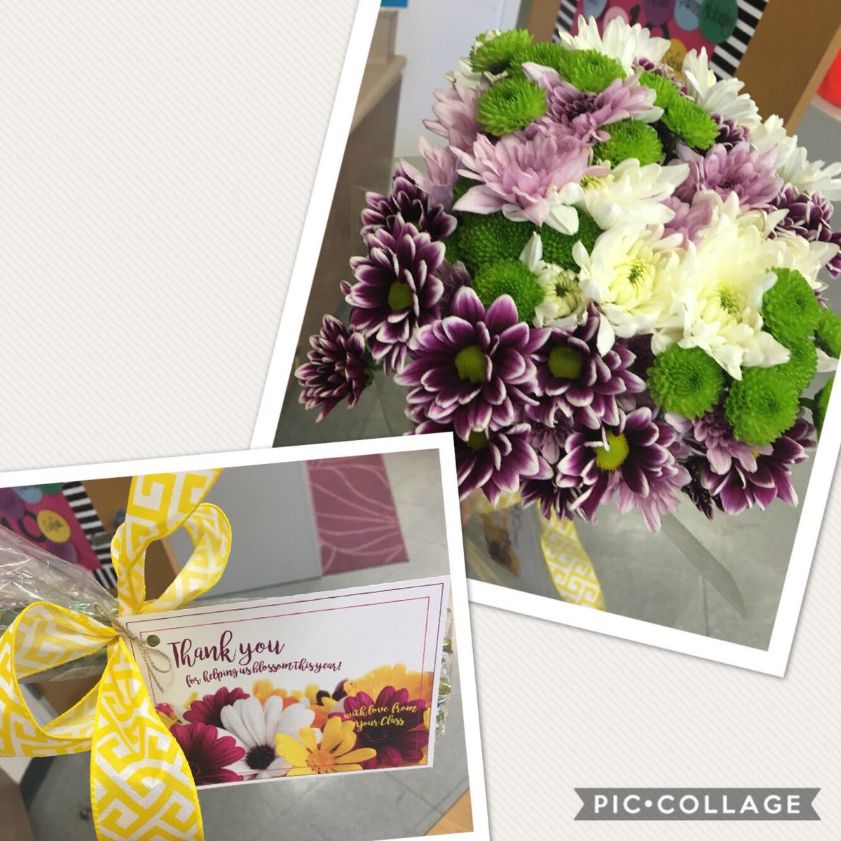 Roberts3rdgrade's tweet photo. Yesterday I was suprised by my class with this beautiful bouquet! Love my class! #RCSDchampions @rcsdstoneridge https://t.co/fetdM3UoVD