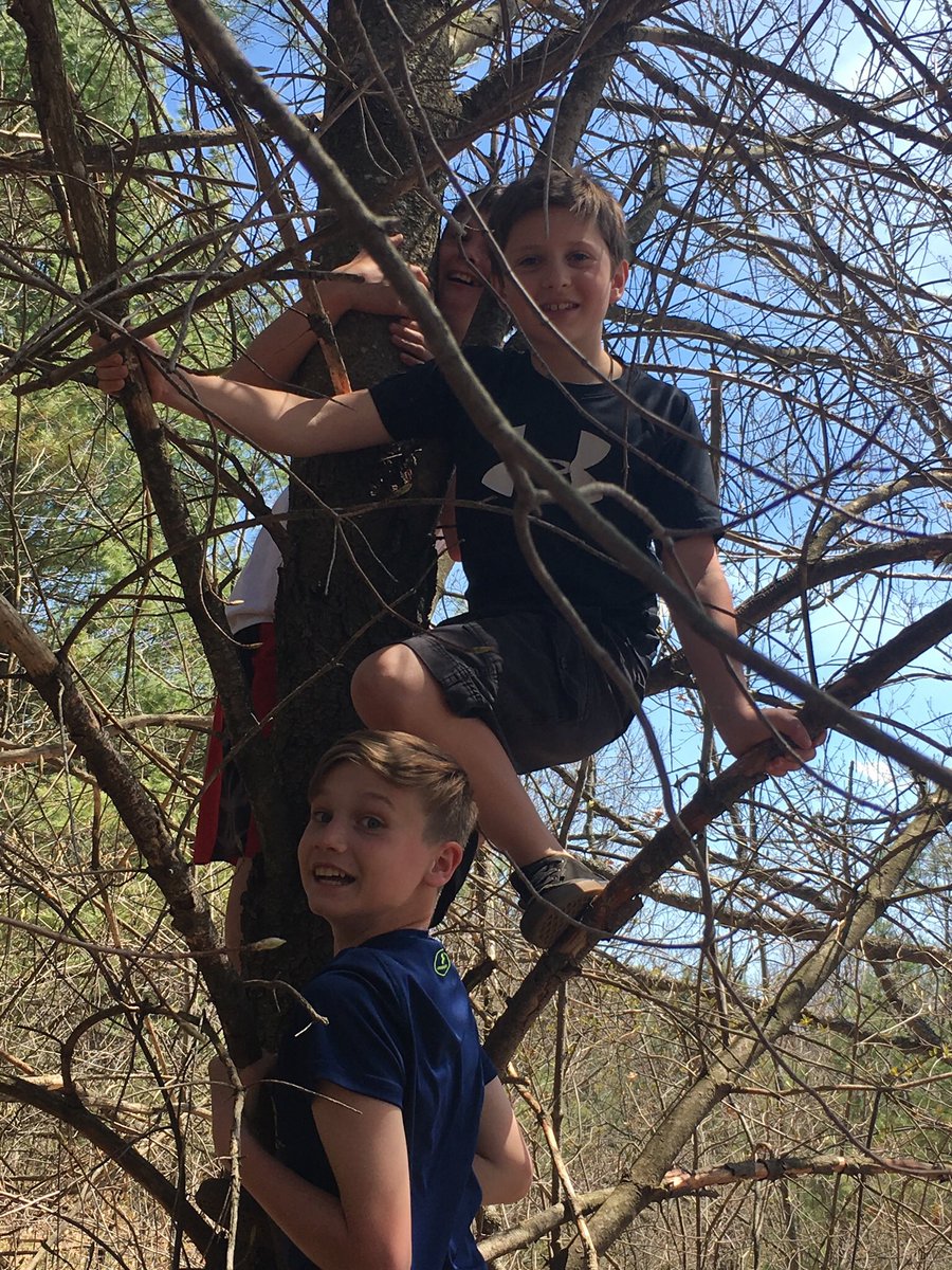 Today we learned from the forest! #outdoorlearning #forestclassroom @YorkRiverPS