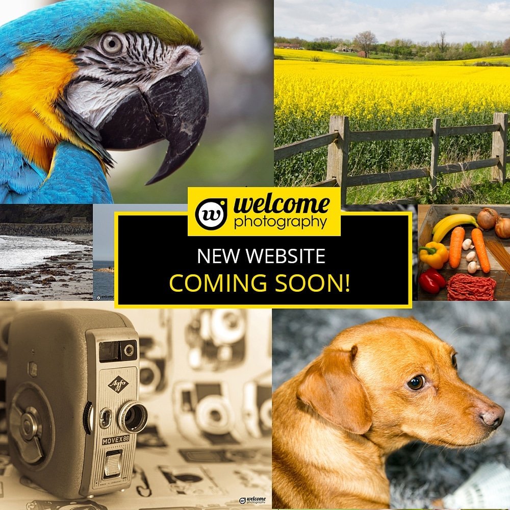 Tomorrow is the big day... the person I would most love to do a photo shoot do is....<a href="/GalGadot/">Gal Gadot</a>