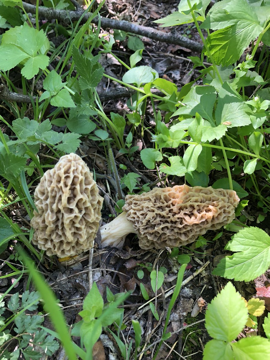 Mike Lauterbach tweet media