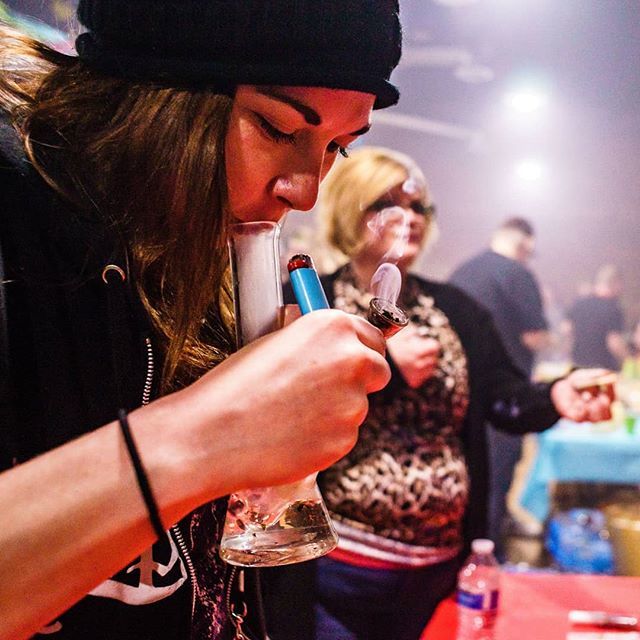 Annie420Bananie's tweet photo. This is how I spent Cinco de Mayo!
#higherinfluence #nwrosin #washingtonweed #pnwcannabis #cannabis #weed #marijuana #dabs #cincodemayo #cinder #spokane #washington #stonergirl #iloveweed #smokeweed #bongrips https://t.co/XACuTzhgJ9 https://t.co/3cdojONfHg