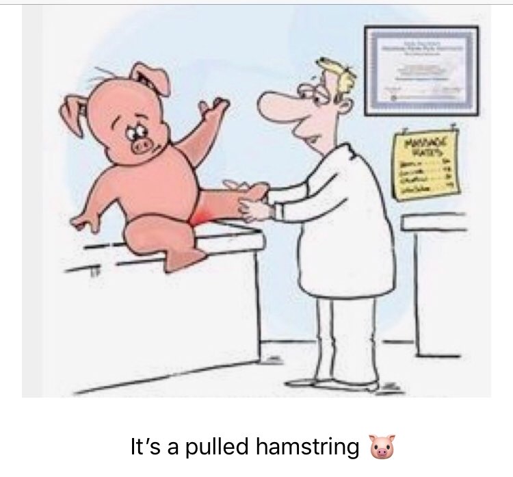 Aspen_Rehab_PT's tweet image. 🤨Pain is no laughing matter 🤨
🔆Aspen Rehab, Coral Springs Florida 🔅954.341.7875 🔅
#hamstringproblems #pulledhamstring #sports #sportinjury #chronicpain #pigs 
#physicaltherapy #betterqualityoflife #painsucks #aspenrehab #coralsprings #margate #coconutcreek #parkland #tamarac
