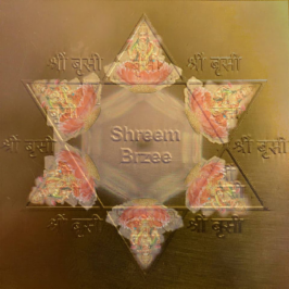 Player1Rising's tweet photo. This is the sound of the sacred #Mantra #SHREEM #BRZEE from Dr. Pillai as water was infused then Frozen. I wanted to create a Pendant on my website @shapeways I decided to donate 10% as a portion of the Sales to @PillaiCenter to aide with charities. #OWNIT https://t.co/afwWmIQJ35 https://t.co/Adh97xtP1l