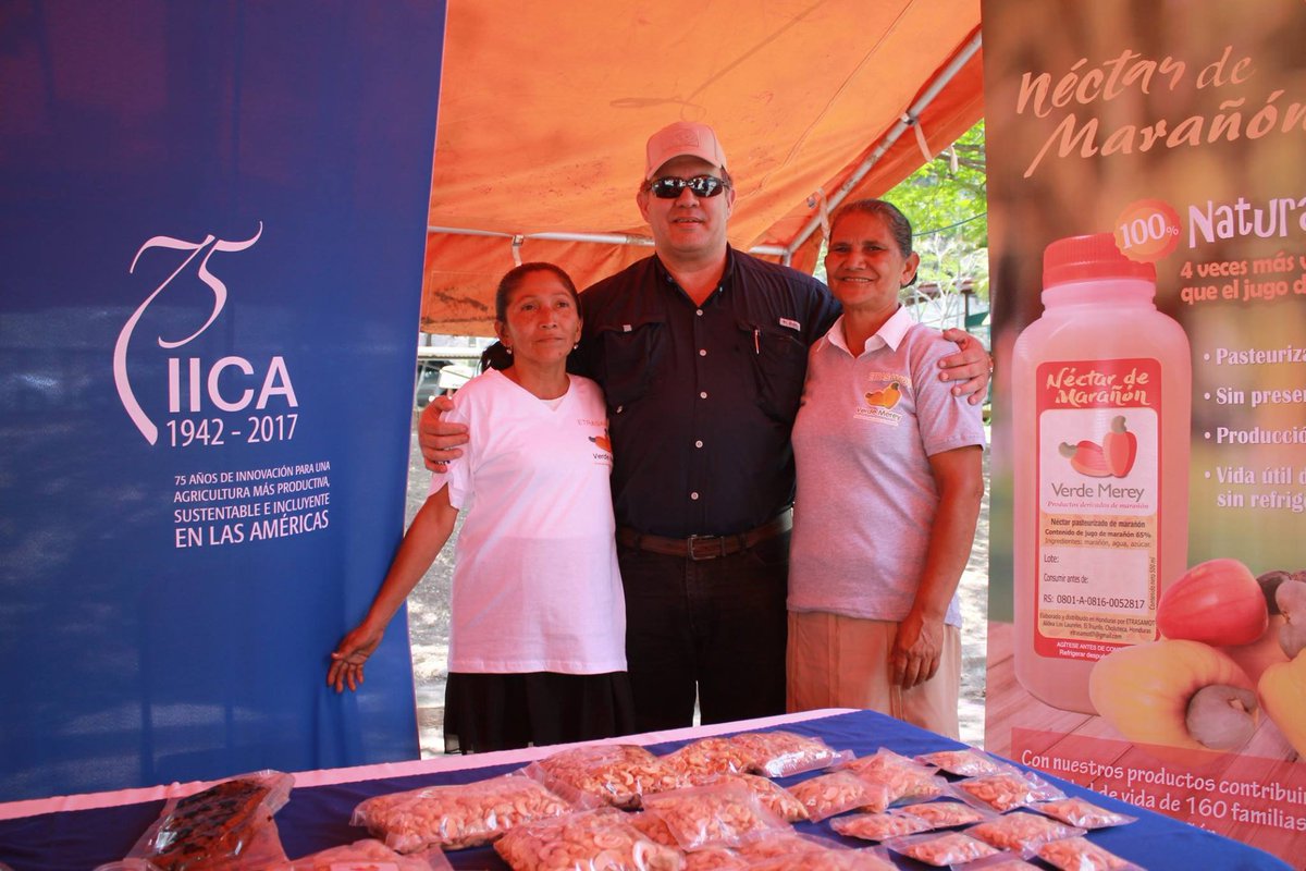 CoolBotLA's tweet image. Nos sentimos orgullosos del éxito de nuestros amigos de ETRASAMOT. Sobre todo porque la calidad de su fruta y sus concentrados estan siendo almacenados en frío con nuestra tecnología.

¡Gracias por su confianza en CoolBot!