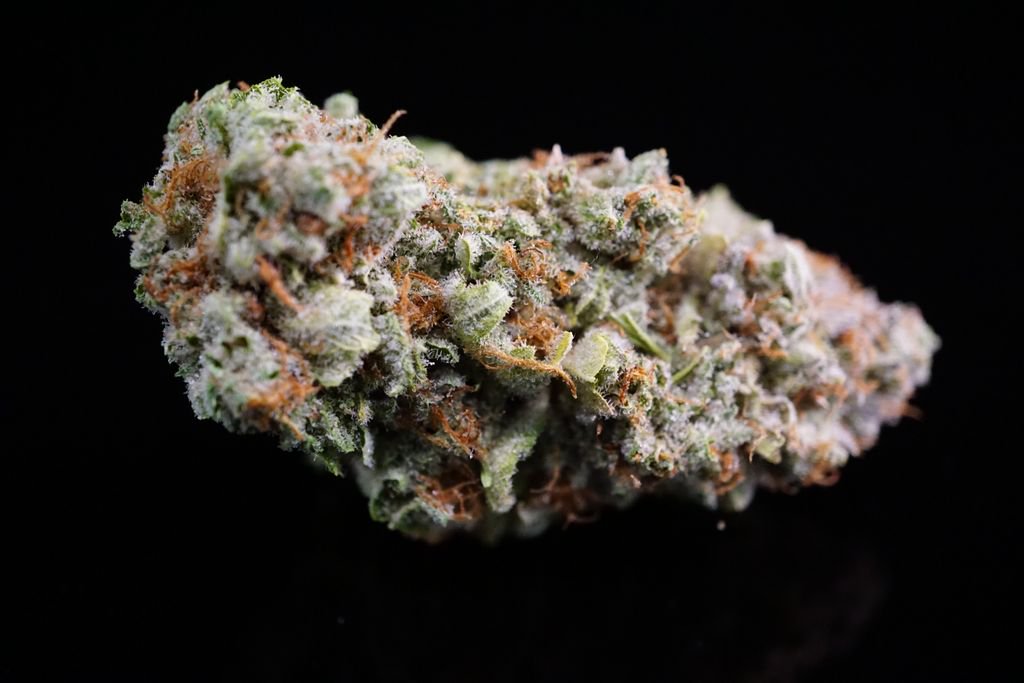 HeavenlyBuds's tweet photo. Introducing our newest #strain #locktite! This RedEyed Genetics Indica dominant #hybrid is Mt. Rainer x Gorilla Glue #4. Hints of citrus and diesel this is an upbeat powerful strain. https://t.co/h2pqvlWeIQ