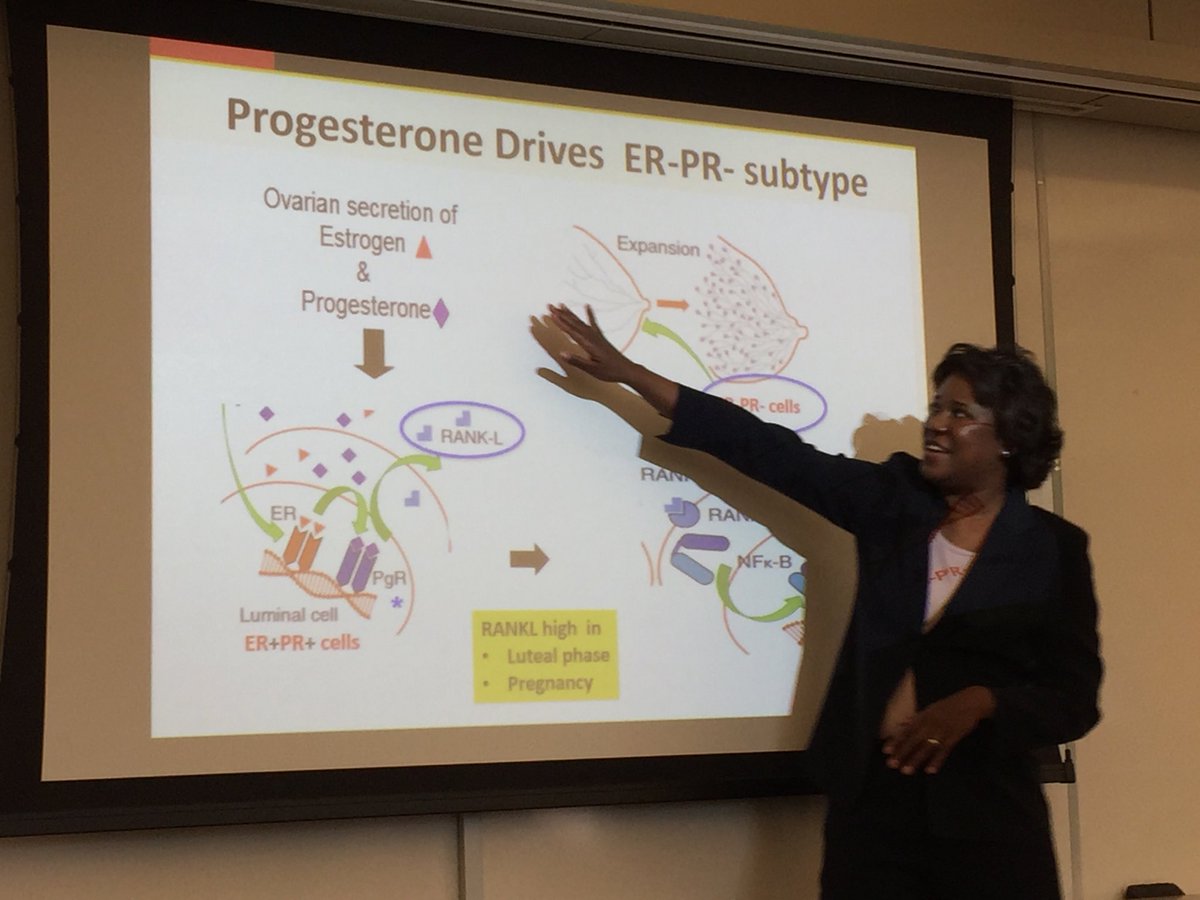 bobriter's tweet photo. So happy to have Dr. Laundette Jones as our guest speaker in class tonight. She embodies the importance and magic of connecting cancer researchers and community members. #cornellcancerclass #cancerresourcecenter https://t.co/N4c8jRN5yD