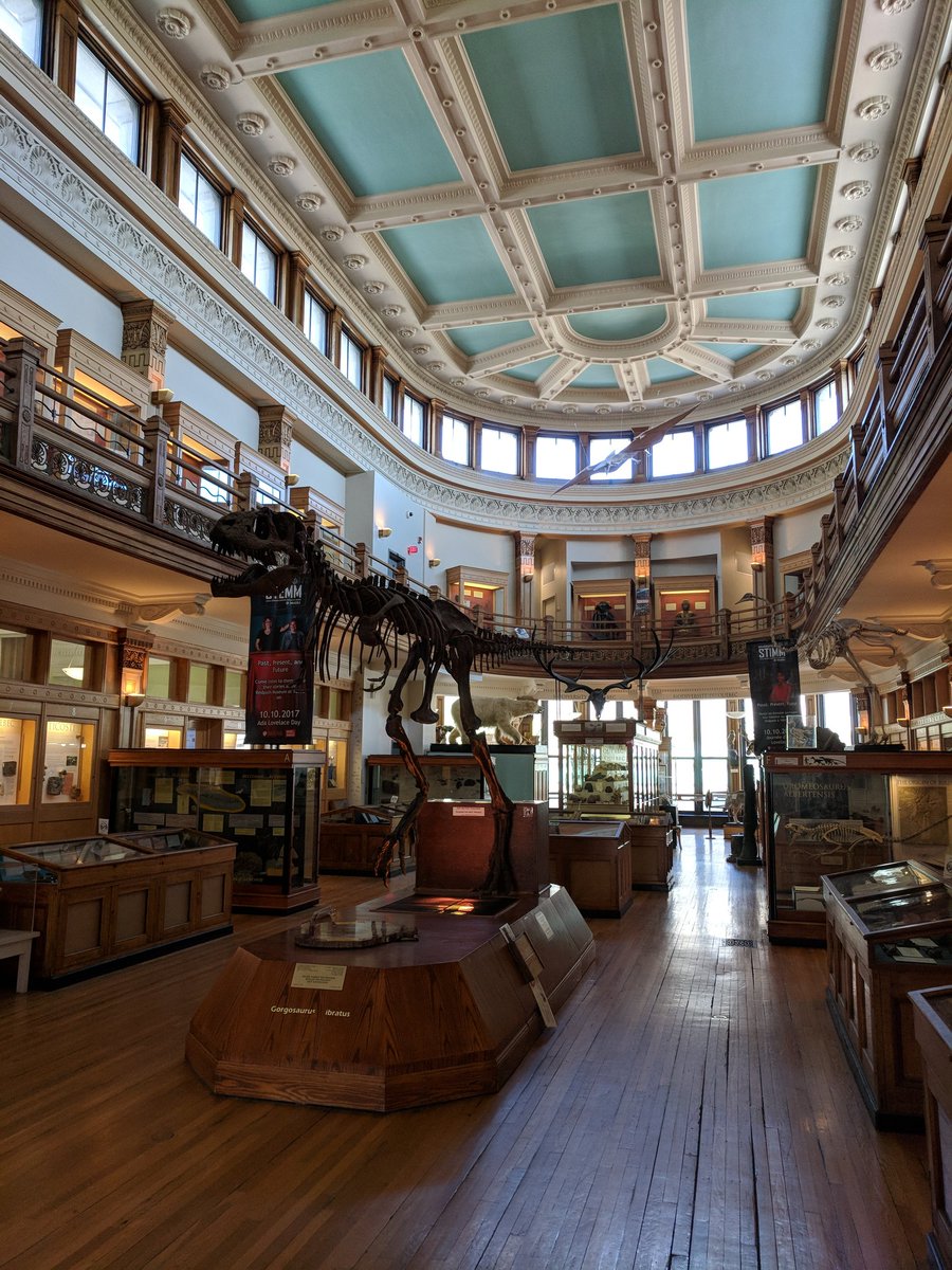 jkomarolivarez's tweet photo. Interior view of #RedpathMuseum @mcgillu. #GreekRevival https://t.co/CNMz4CDNgd