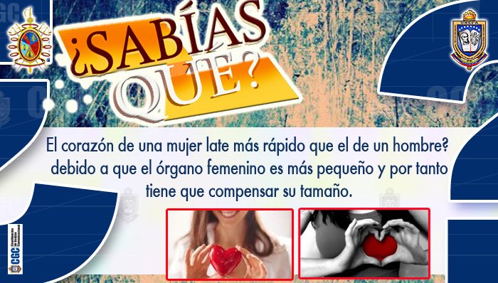 21215_ale's tweet photo. #SabíasQué #DatosCuriosos Neriogalban1 https://t.co/j9ecnIW8SN