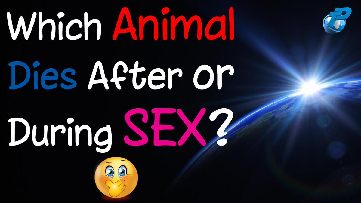 techstudies1's tweet image. youtube.com/watch?v=dx76RK…
Common Sense Questions 
#gk #iq #commonsense #generalknowledge