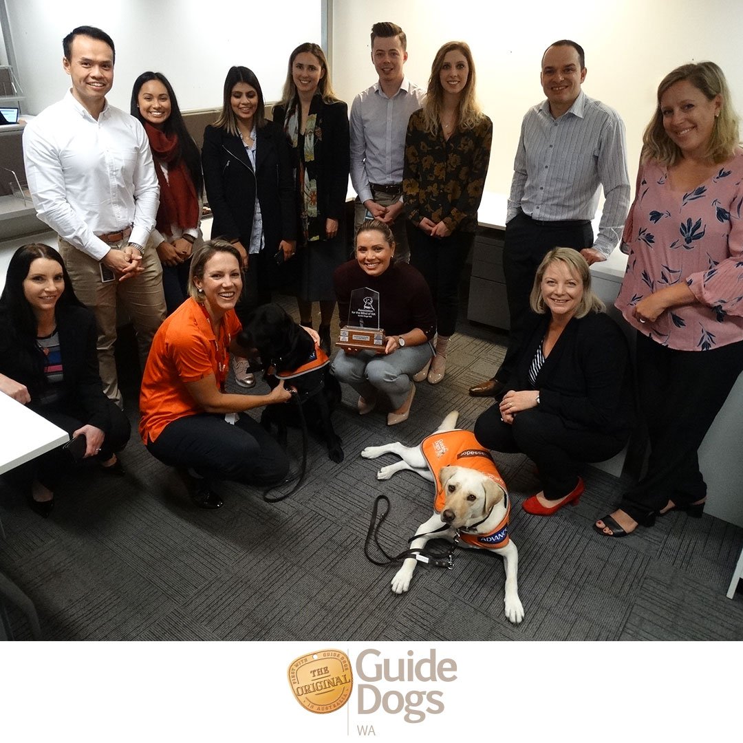 guidedogswa's tweet photo. The 2018 Street Appeal's Corporate Team from Rio Tinto were visited by Annie & Eva to present the Corporate Challenge Trophy. If you're interested in joining our partnership scheme, click to learn more. https://t.co/EldXaFX9wW
#GuideDogsWA #perth #riotinto https://t.co/R6yktH4x6h