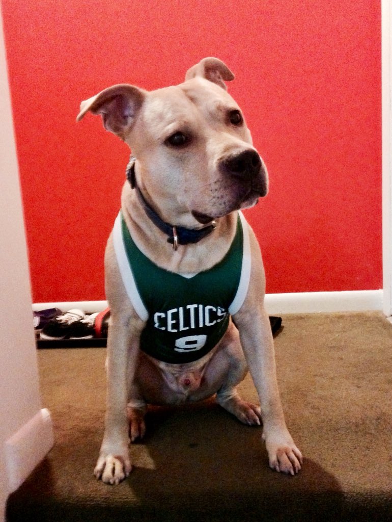 drewtil's tweet photo. @celtics @Celtics #bepitbulls Go Celtics! #BeatPhilly #RondoDog #EastBoston https://t.co/XNeN7Xk5BS