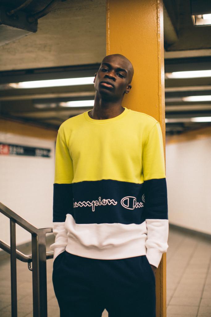 champion crewneck footlocker