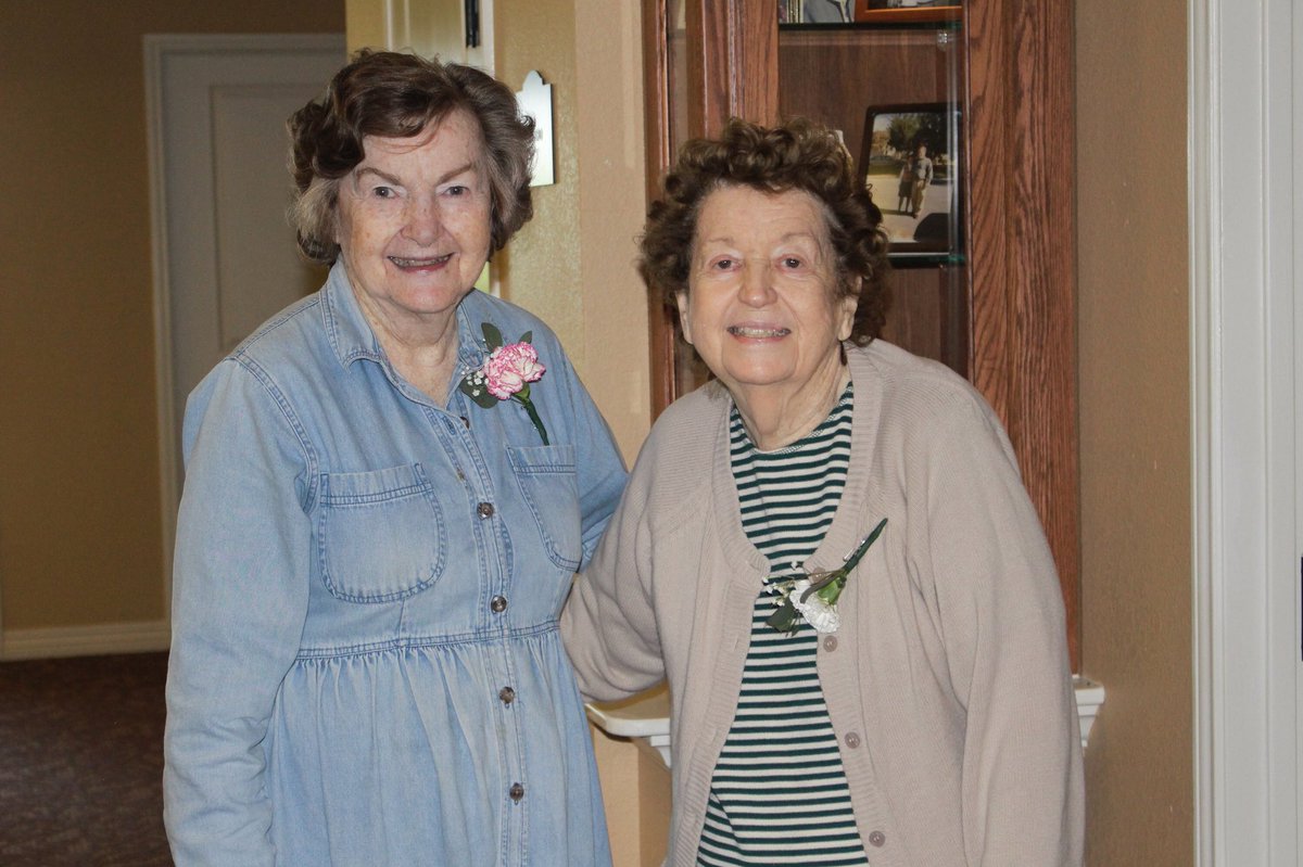 LTPartyProject's tweet image. 