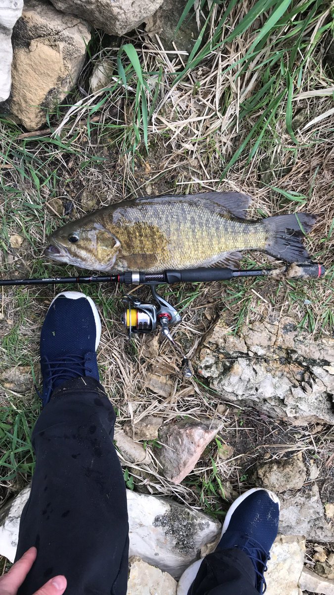 TrophyHunting2's tweet image. 19’ long, 13’ wide! It’s smallmouth season folks! #BassSeasonHasArrived