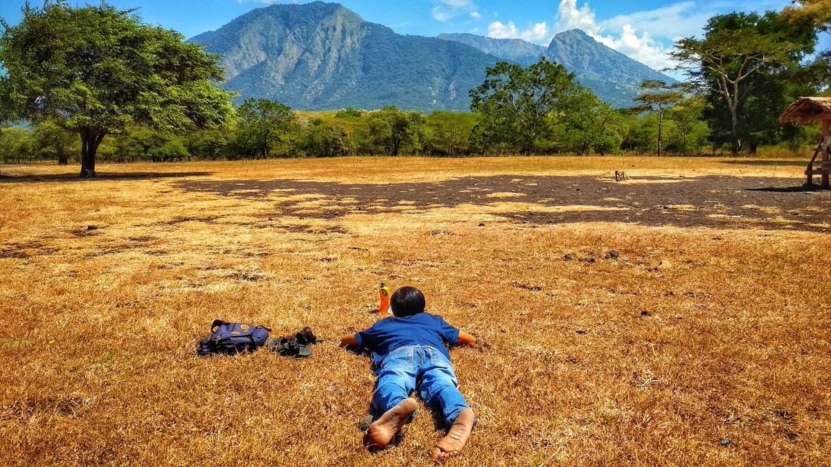 vic_adi's tweet photo. #Baluran #africavanjava #situbondo https://t.co/qzRRZ8e4gD