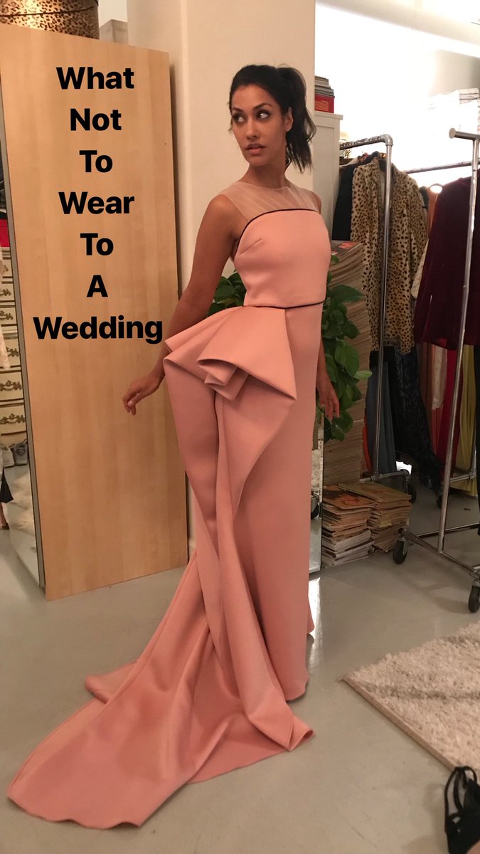 janina gavankar wedding