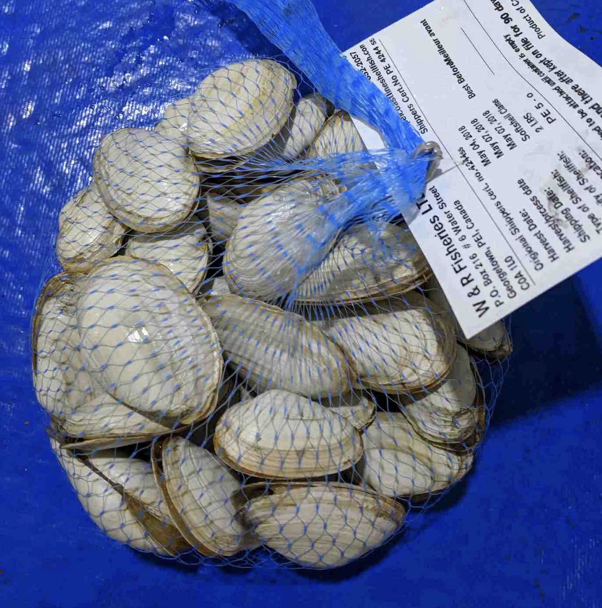 Wild & Live Seafoods tweet media