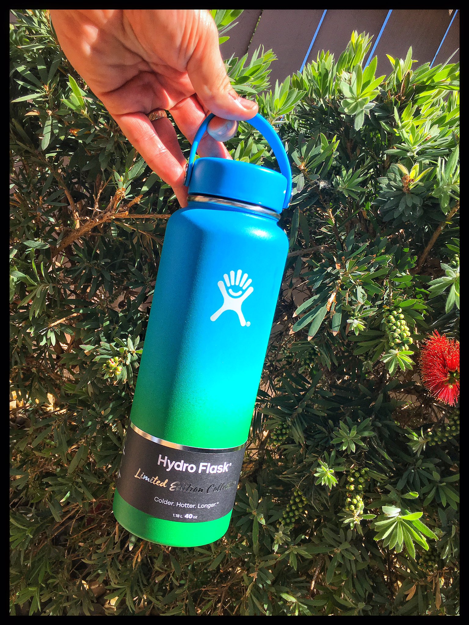 hydro flask ombre wildflower