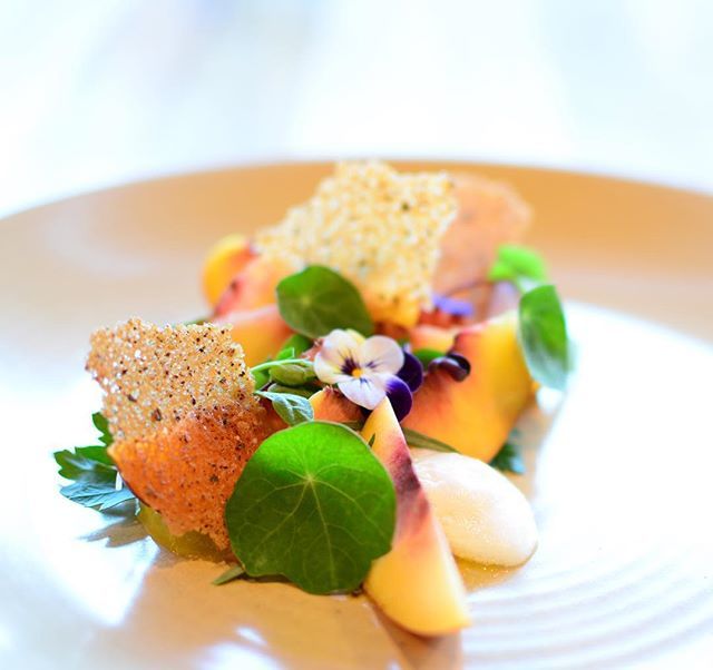 Chef_Ray_C's tweet photo. So loved this dish....it was so good when I ate it and thought I should share it. I called it the Tangible Nectarine......black pepper tuile, champagne foam, fresh herb salad #fresh#midwestchef#havefun#truecooks#finedinglovers#gastroart#foodporn#stlfoodi… https://t.co/ZgTWefcuV2 https://t.co/dvOWzNoJT3